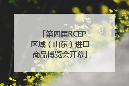 第四届RCEP区域（山东）进口商品博览会开幕