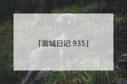 翁城日记 935