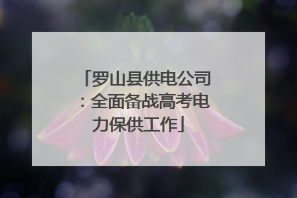 罗山县供电公司：全面备战高考电力保供工作