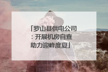 罗山县供电公司：开展机房自查 助力迎峰度夏