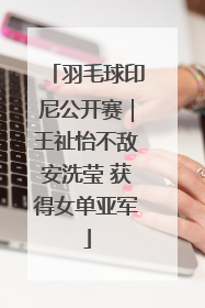 羽毛球印尼公开赛｜王祉怡不敌安洗莹 获得女单亚军