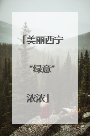 美丽西宁 “绿意”浓浓