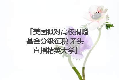美国拟对高校捐赠基金分级征税 矛头直指精英大学