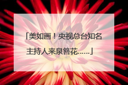 美如画！央视总台知名主持人来泉簪花……