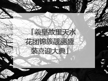 羲皇故里天水花团锦簇靓丽盛装喜迎大典