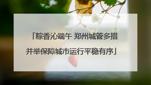 粽香沁端午 郑州城管多措并举保障城市运行平稳有序