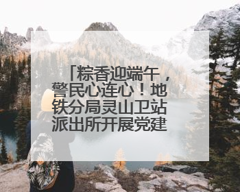 粽香迎端午，警民心连心！地铁分局灵山卫站派出所开展党建联建活动