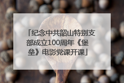 纪念中共韶山特别支部成立100周年《堡垒》电影党课开课