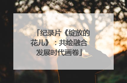 纪录片《绽放的花儿》：共绘融合发展时代画卷