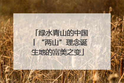 绿水青山的中国丨“两山”理念诞生地的富美之变