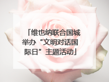 维也纳联合国城举办“文明对话国际日”主题活动