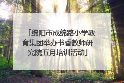 绵阳市成绵路小学教育集团举办书香教师研究院五月培训活动