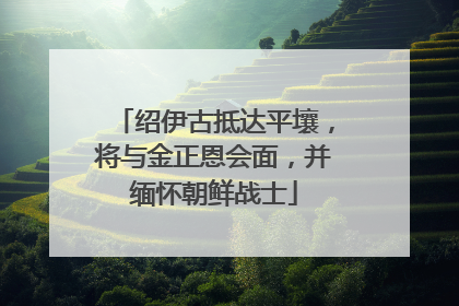 绍伊古抵达平壤，将与金正恩会面，并缅怀朝鲜战士