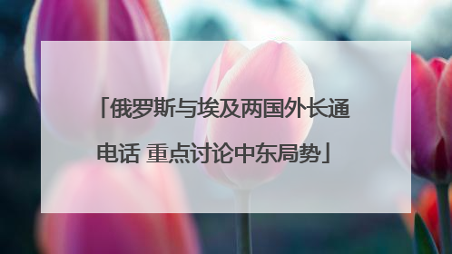 俄罗斯与埃及两国外长通电话 重点讨论中东局势
