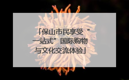 保山市民享受“一站式”国际购物与文化交流体验