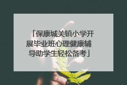 保康城关镇小学开展毕业班心理健康辅导助学生轻松备考