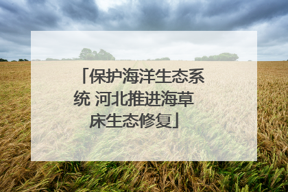 保护海洋生态系统 河北推进海草床生态修复