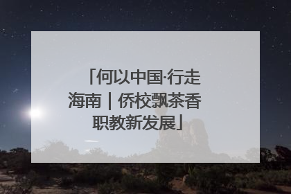 何以中国·行走海南｜侨校飘茶香 职教新发展