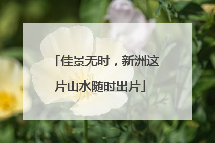 佳景无时，新洲这片山水随时出片