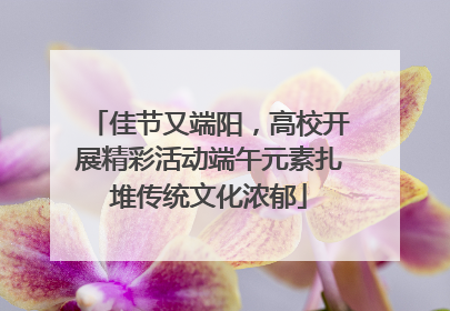 佳节又端阳，高校开展精彩活动端午元素扎堆传统文化浓郁