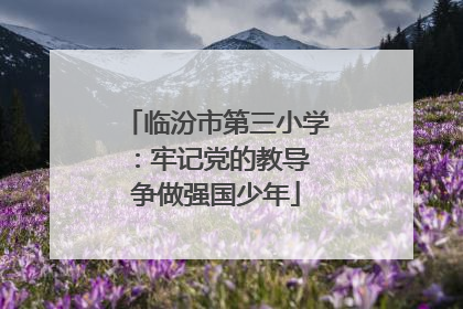 临汾市第三小学：牢记党的教导 争做强国少年