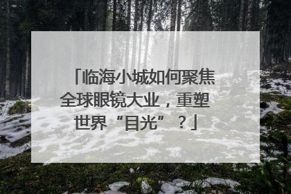 临海小城如何聚焦全球眼镜大业，重塑世界“目光”？
