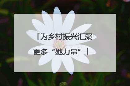 为乡村振兴汇聚更多“她力量”