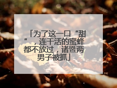 为了这一口“甜”，连干活的蜜蜂都不放过，诸暨两男子被抓