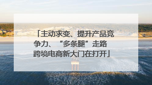 主动求变、提升产品竞争力、“多条腿”走路 跨境电商新大门在打开