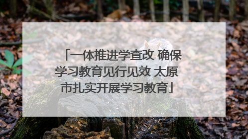 一体推进学查改 确保学习教育见行见效 太原市扎实开展学习教育