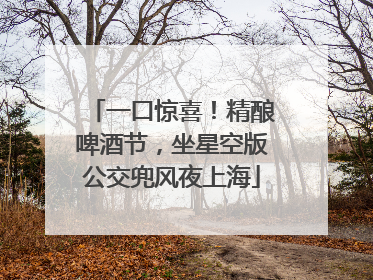 一口惊喜！精酿啤酒节，坐星空版公交兜风夜上海