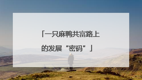 一只麻鸭共富路上的发展“密码”