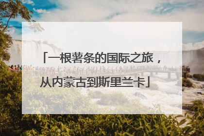 一根薯条的国际之旅，从内蒙古到斯里兰卡
