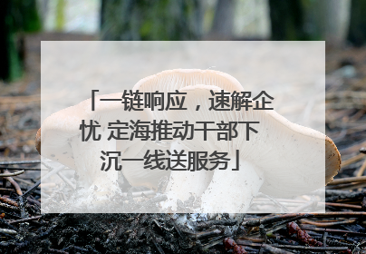 一链响应，速解企忧 定海推动干部下沉一线送服务