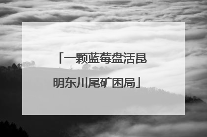 一颗蓝莓盘活昆明东川尾矿困局