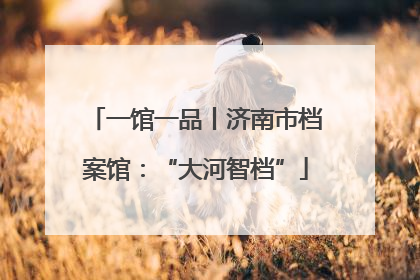 一馆一品丨济南市档案馆：“大河智档”