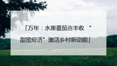 万年：水果番茄喜丰收 “甜蜜经济”激活乡村新动能