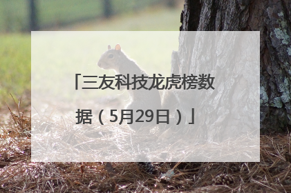 三友科技龙虎榜数据（5月29日）