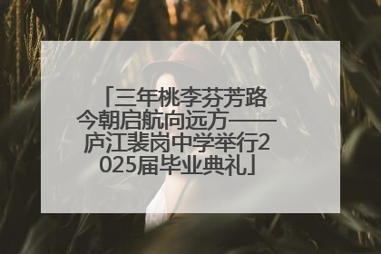 三年桃李芬芳路 今朝启航向远方——庐江裴岗中学举行2025届毕业典礼
