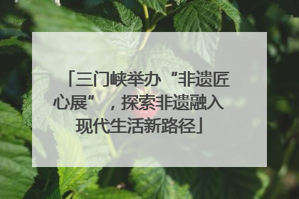 三门峡举办“非遗匠心展”，探索非遗融入现代生活新路径