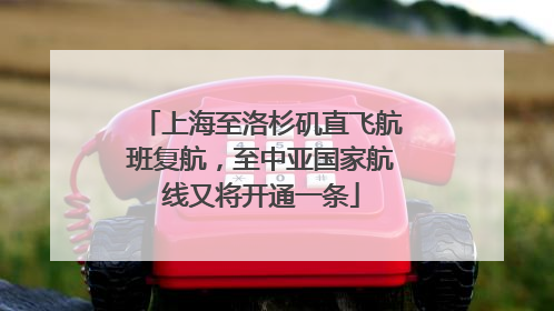 上海至洛杉矶直飞航班复航，至中亚国家航线又将开通一条