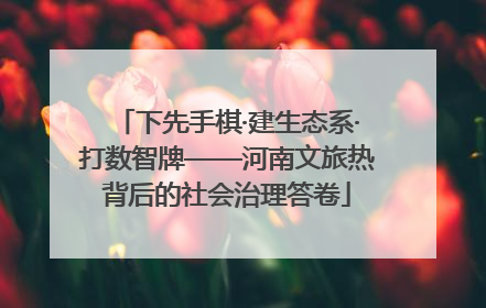 下先手棋·建生态系·打数智牌——河南文旅热背后的社会治理答卷