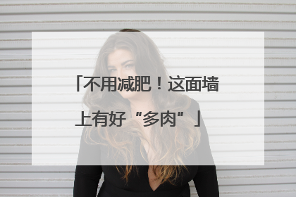 不用减肥！这面墙上有好“多肉”