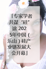 专家学者共谋“硅”途 2025年中国（乐山）硅产业链发展大会开幕