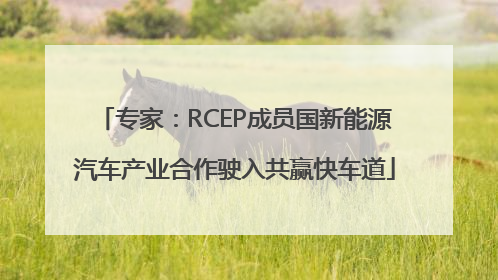 专家：RCEP成员国新能源汽车产业合作驶入共赢快车道
