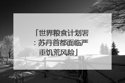 世界粮食计划署：苏丹首都面临严重饥荒风险