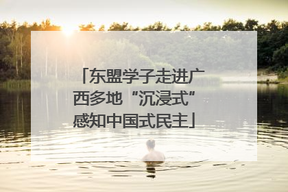 东盟学子走进广西多地“沉浸式”感知中国式民主