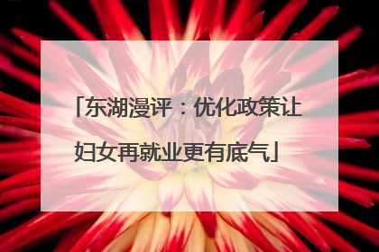 东湖漫评：优化政策让妇女再就业更有底气