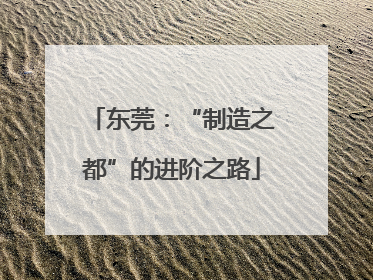 东莞：“制造之都”的进阶之路