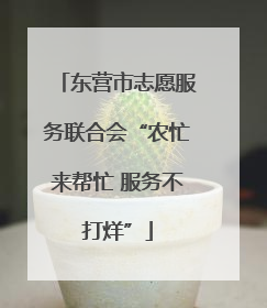 东营市志愿服务联合会“农忙来帮忙 服务不打烊”
